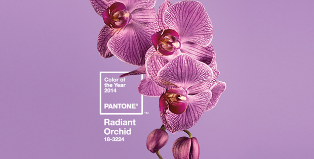 follow the colours pantone radiant orchid 2014 01 Pantone revela a cor do ano de 2014: Radiant Orchid 