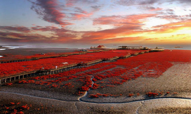follow-the-colours-praia-vermelha-panjim-china-05