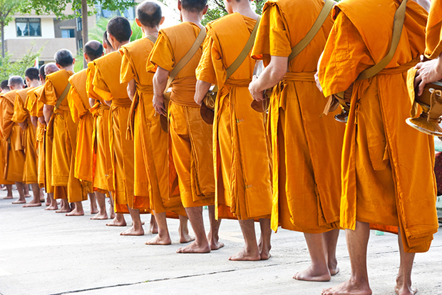 Shutterstock significado laranja monges