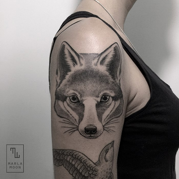 tattoo tatuagens linhas finas marla moon raposa