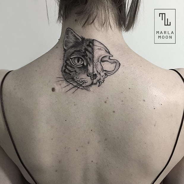 tattoo tatuagens linhas finas marla moon gato