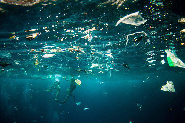 Adidas tênis materiais reciclados plástico oceano Primeknit poluição