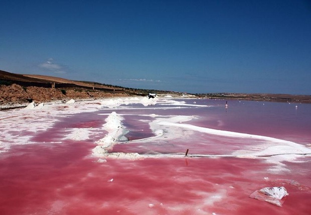 08 Lagos Cor de rosa Exuberantes Para Conhecer Pelo Mundo FTCMag