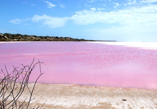 pink-lake-western-australia (2)
