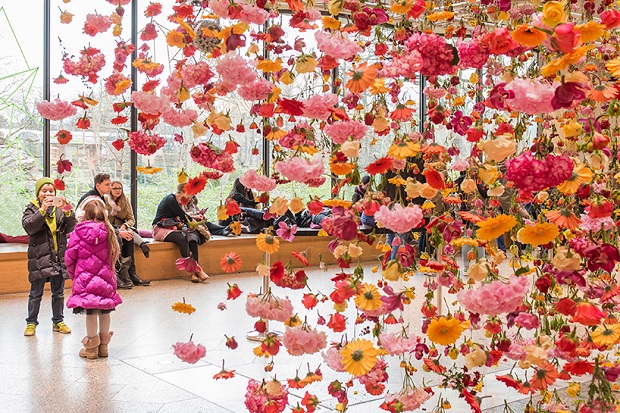 follow-the-colours-floral-installation (1)