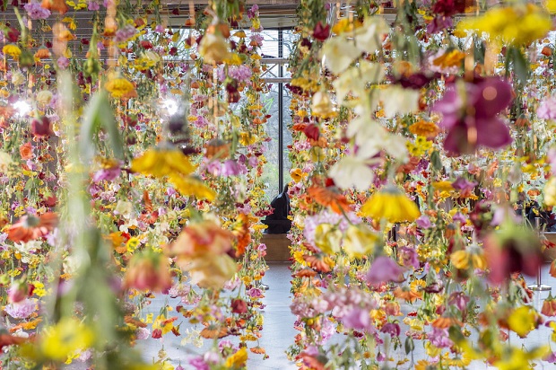 follow-the-colours-floral-installation (3)
