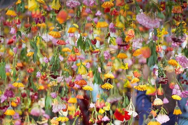 follow-the-colours-floral-installation (6)