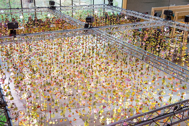 follow-the-colours-floral-installation (7)