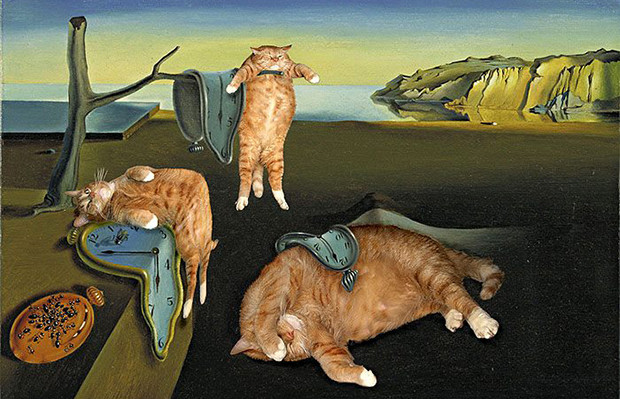 Fat Cat Art gato arte Salvador Dali