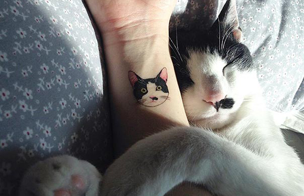 Tatuagem gatos cat tattoos sol tattoo