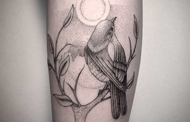 tattoo tatuagem daniel matsumoto pássaro