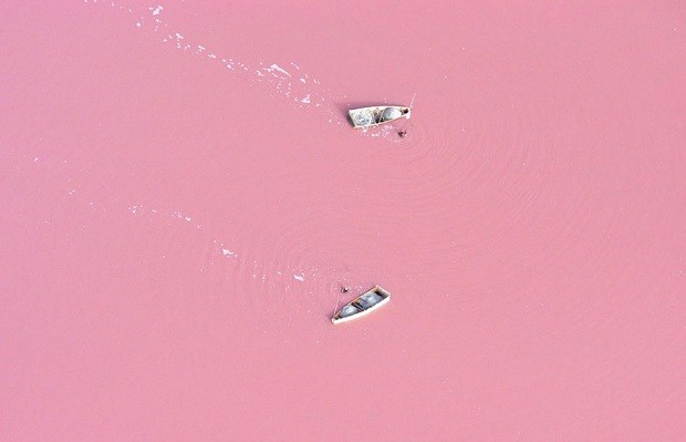 lagos cor-de-rosa pelo mundo