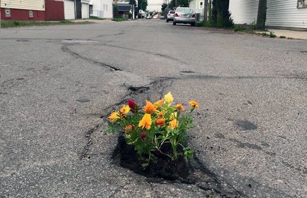 jardinagem de guerrilha buraco ruas flores