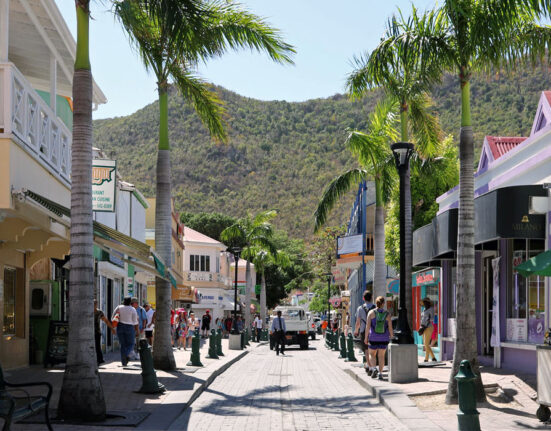 ilha de são martinho