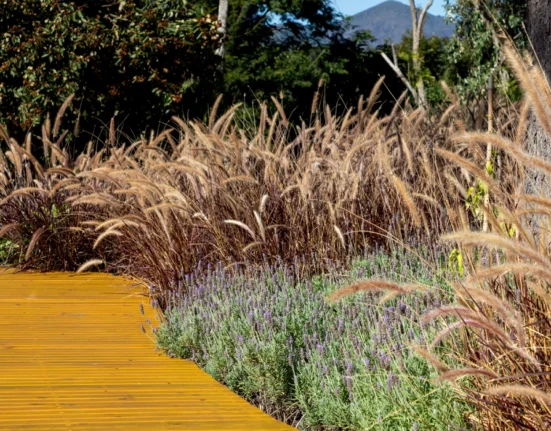 jardins sensoriais