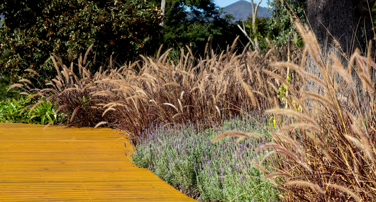 jardins sensoriais