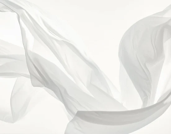 cloud dancer cor do ano de 2026 pantone